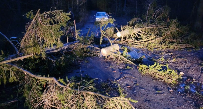 Blisko 150 interwencji przez noc. Usuwanie skutków orkanu trwa