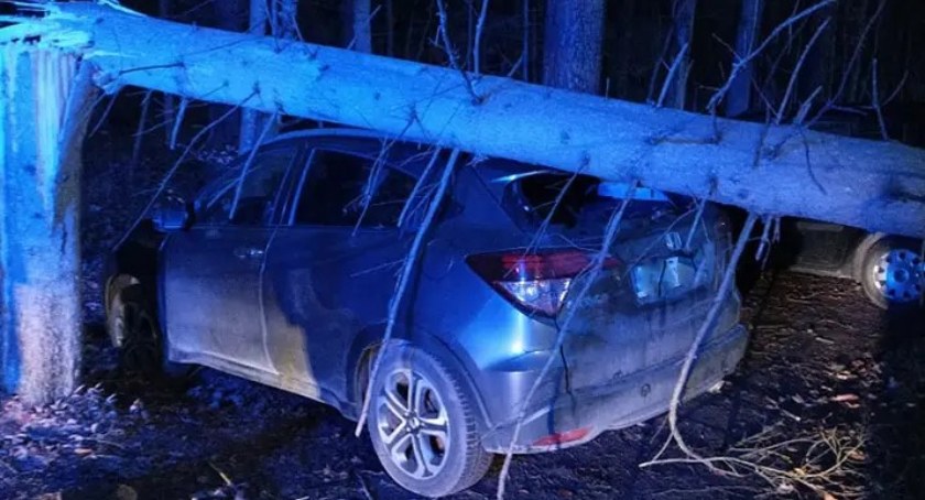 Ponad 200 interwencji po orkanie Otto - nadciąga kolejna wichura