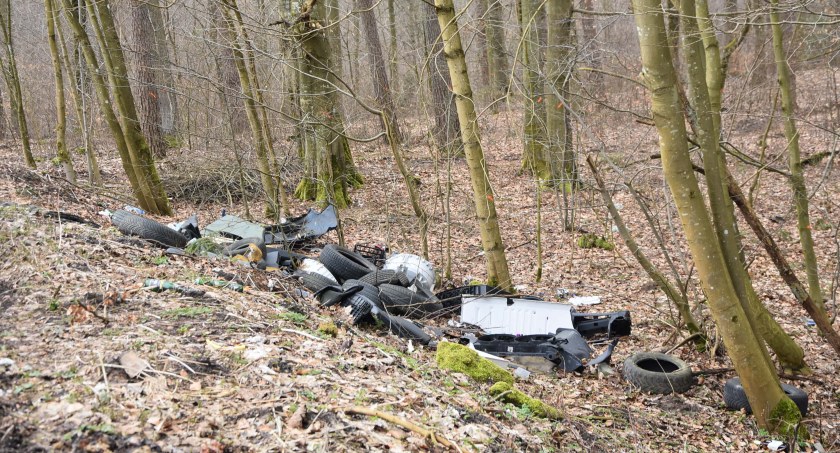 Lasy toną w śmieciach - kto pozbył się opon w lesie w Karwacji?