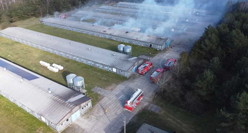 Moment wybuch pożaru kurnika w Kiełpinie uchwycony przez drona