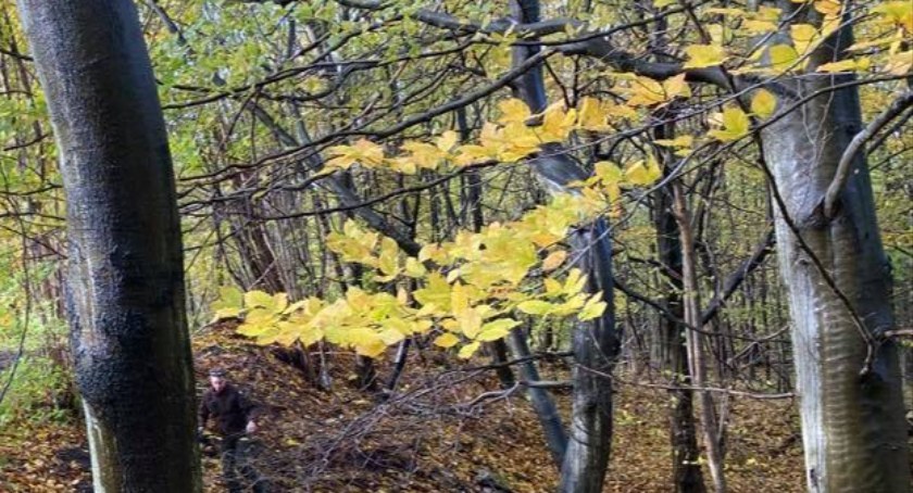 Wspólne sprzątanie Brodnicy Górnej