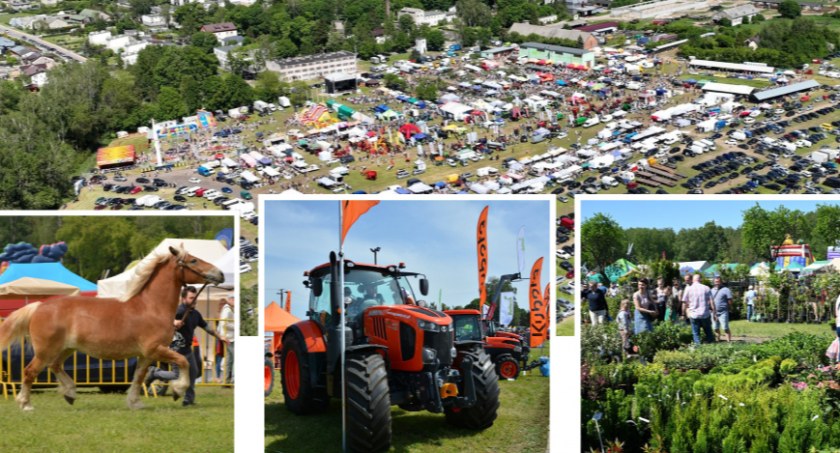 XXX Pomorskie Agro Targi w Lubaniu
