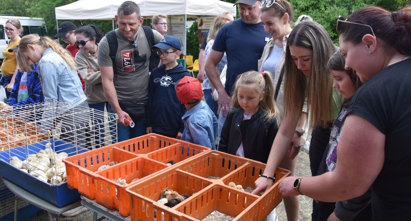 Trwają XXX Pomorskie Agro Targi w Lubaniu