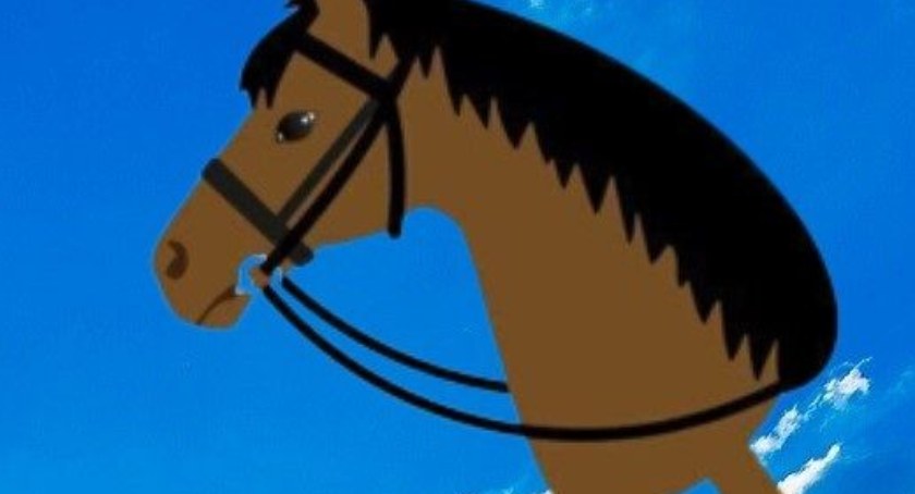 I Mistrzostwa Kaszub - Hobby Horse Dziemiany 2023