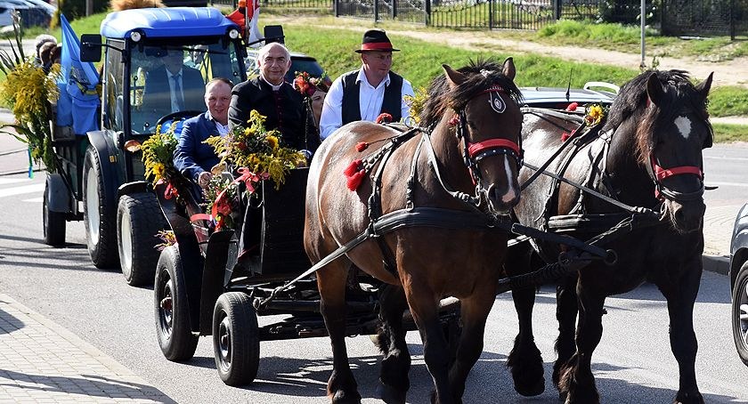 Dożynki w gminie Sierakowice w pięciu miejscowościach