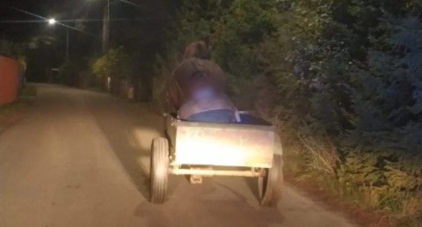 Gołubie. Koń wiózł kompletnie pijanego woźnicę!