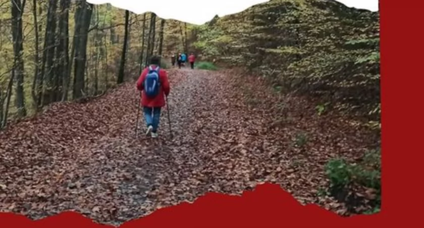 Sierakowice. Marsz nordic walking z okazji Święta Niepodległości