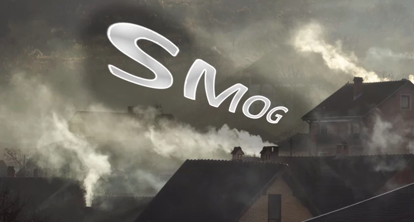 Smog na Kaszubach. Wskazujemy winnych