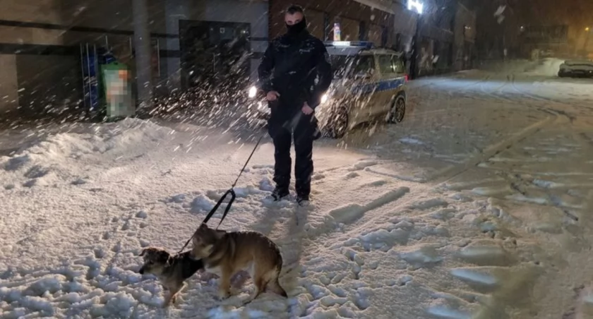 Policjanci uratowali dwa porzucone na mrozie psy