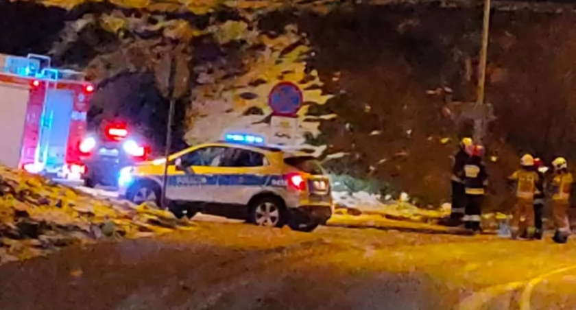 Borowo. 39-latek i dwa psy potrąceni na przejściu dla pieszych - jeden pies zginął na miejscu