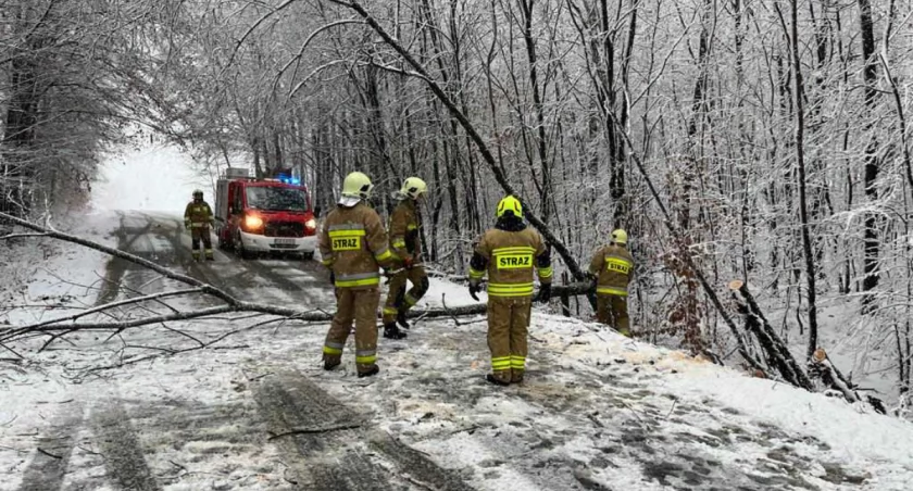 Śnieżyce dają się we znaki mieszkańcom - połamane drzewa, zerwane linie energetyczne