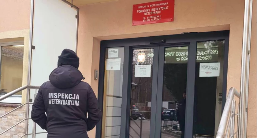 Będą świętować Dzień Służby Cywilnej - w piątek Dzień Otwarty w kartuskiej weterynarii