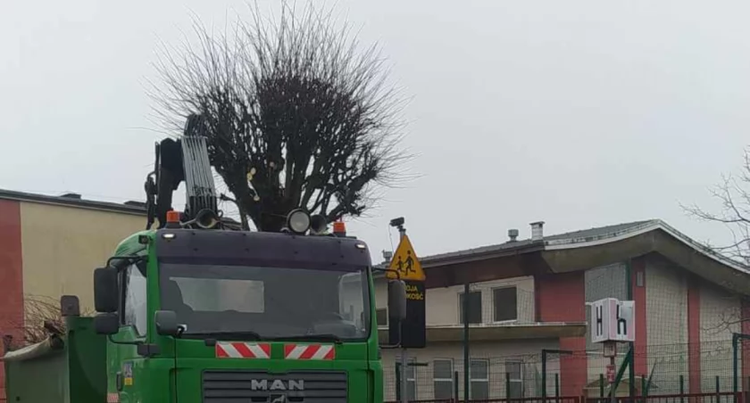 Kartuzy. Samowolna wycinka drzew przy szpitalu budzi kontrowersje 