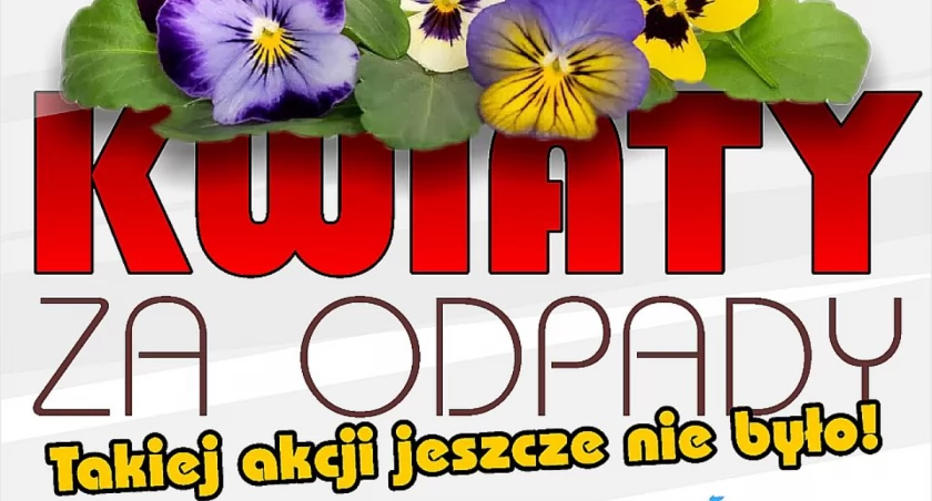 Mieszkańcy gminy Kartuzy- zgarnijcie kwiaty za odpady! 