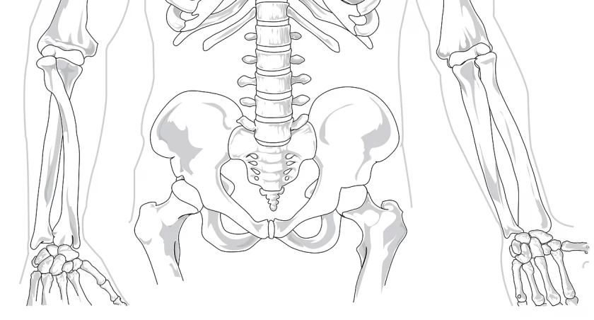 Gmina Somonino podnosi świadomość zdrowotną: Walka z osteoporozą