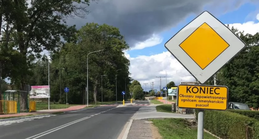 Uwaga! Zgnilec amerykański znów zaatakował 