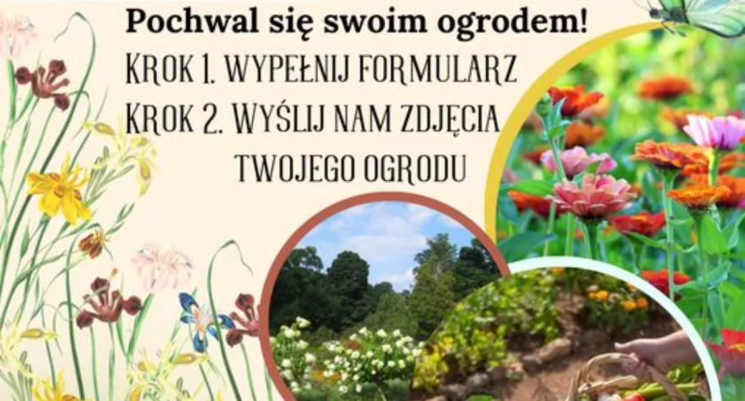 Gmina Somonino organizuje konkurs pt. 