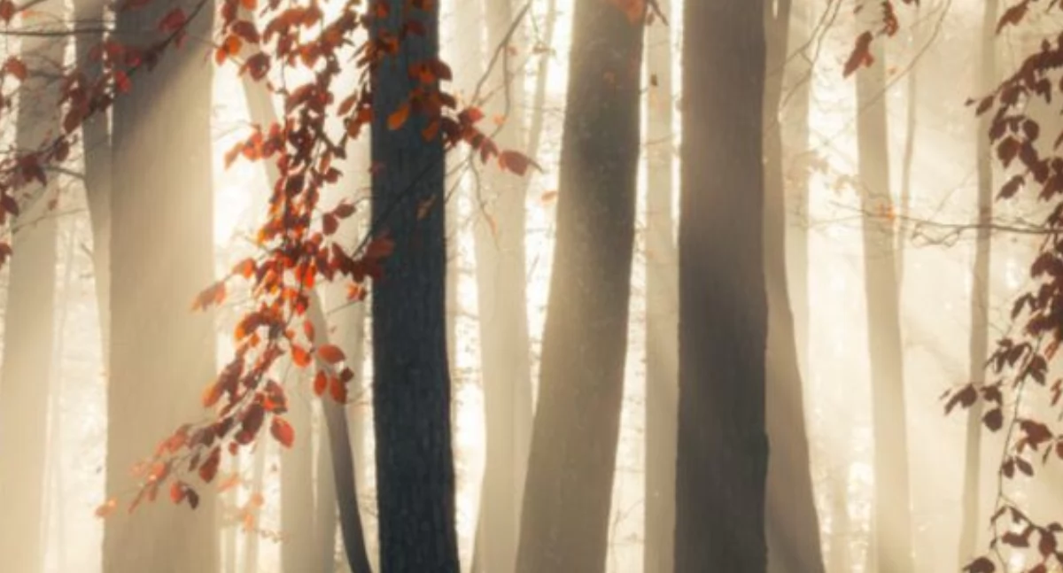 Sulęczyno. Fotografia Igers Kaszuby na wyciągnięcie ręki