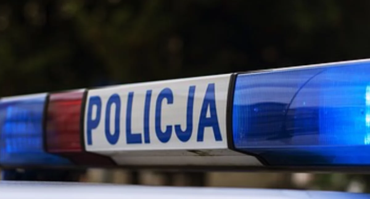 Policja ujęła dwóch poszukiwanych za kradzieże z włamaniem