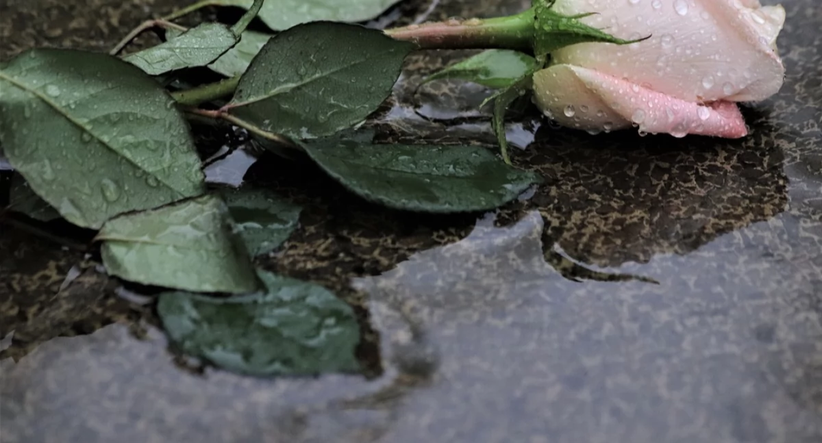 Sulęczyno. Jesienna akcja sprzątania cmentarza ewangelickiego