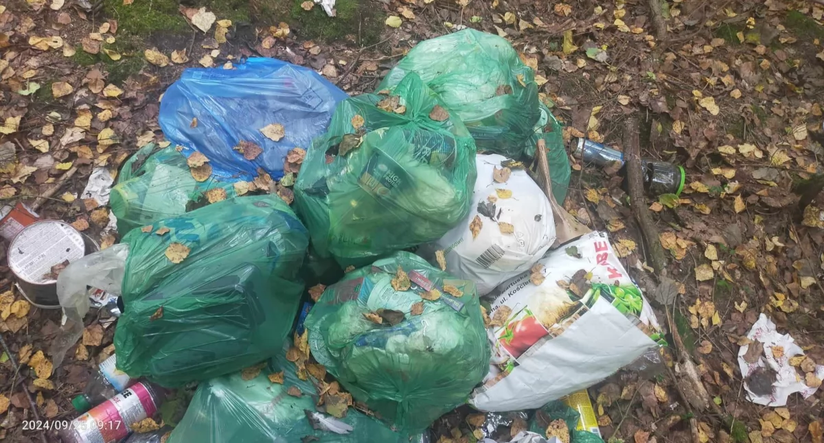Łapalice. Wyrzucił śmieci do lasu... razem z danymi osobowymi