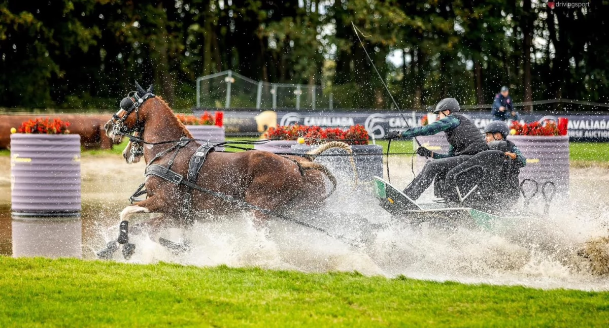 Fularczyk Horse Team z Przodkowa z sukcesami na zawodach CAIO 4