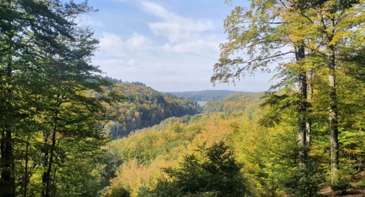 Kaszubski Park Narodowy. Samorządy apelują o dialog z mieszkańcami