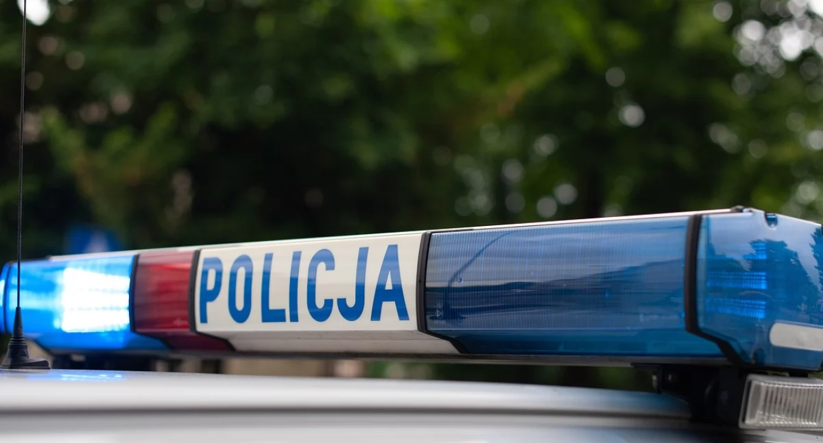 Martwy pies znaleziony przy ul. Sędzickiego w Kartuzach. Policja szuka świadków
