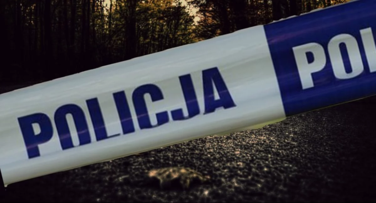 49 zarzutów i wniosek o areszt dla 28-latka