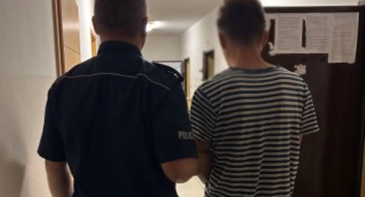 Jest areszt dla 28-latka z 49 zarzutami