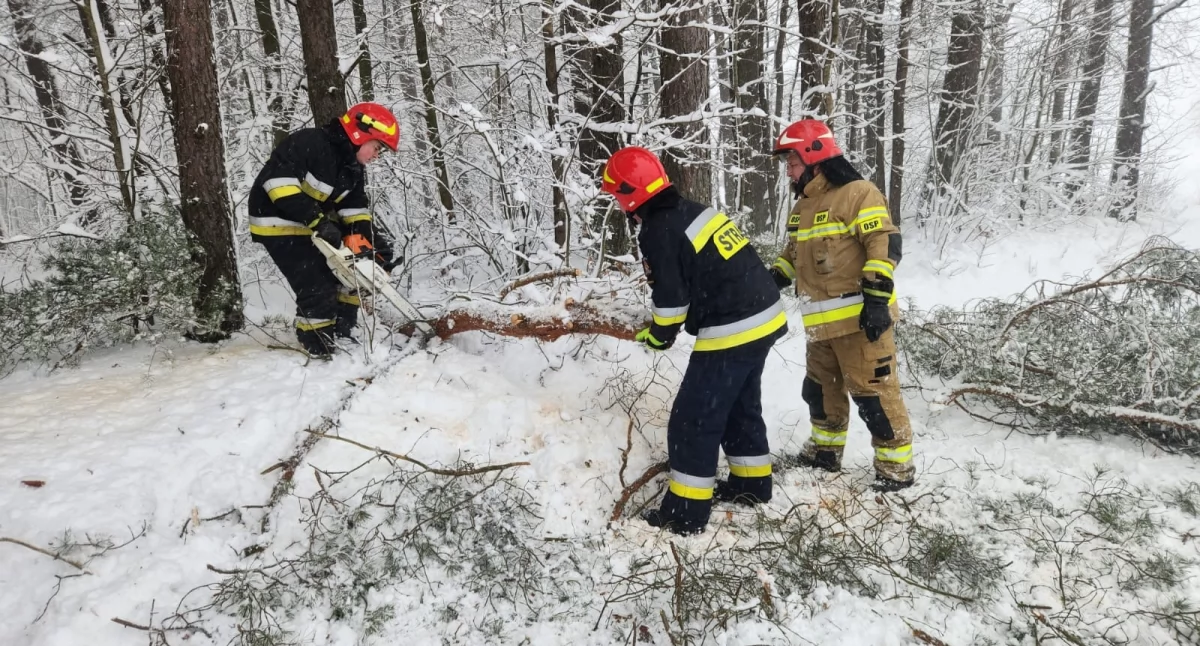 Śnieżyce dają się we znaki mieszkańcom - ponad 50 strażackich interwencji i ponad 50 tys. odbiorców bez prądu