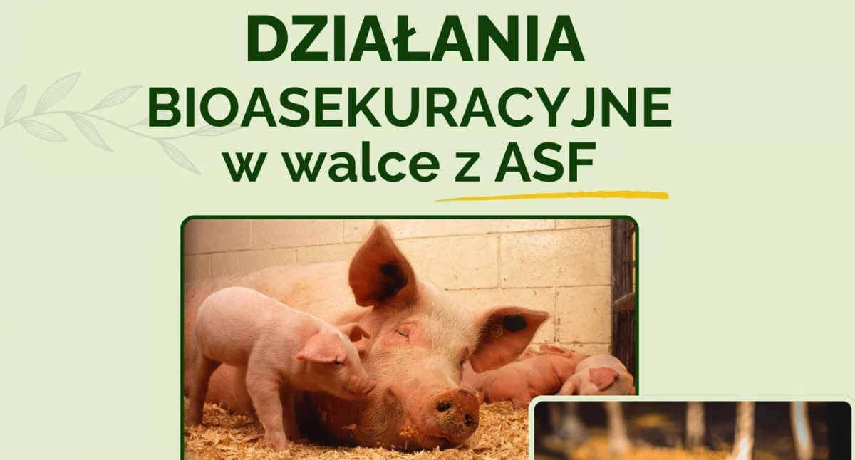 Kartuzy. Szkolenie pt. 