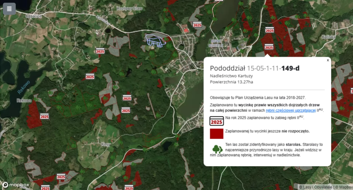 Lasy Państwowe planują kolejne wycinki – czy konieczna jest interwencja?