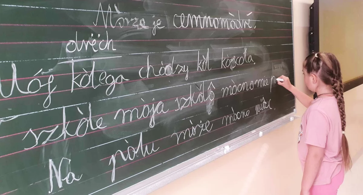 Dawniej bili za mówienie po kaszubsku, a teraz każą nam się go uczyć – co z przyszłością języka kaszubskiego?