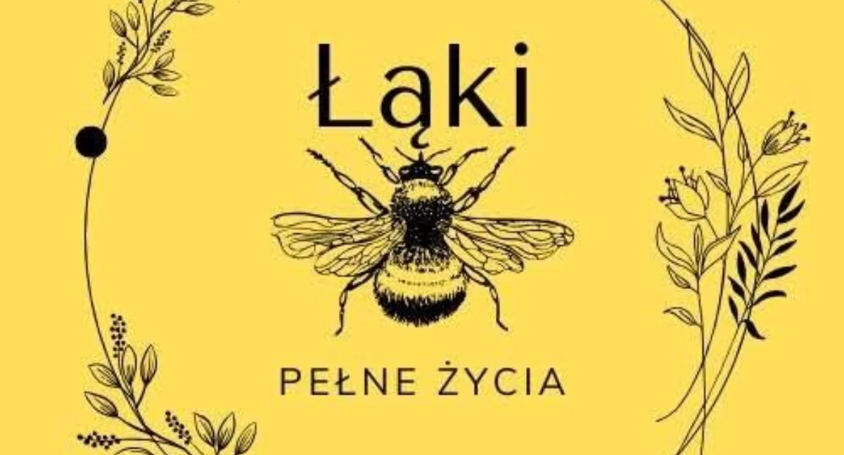 Łąki Pełne Życia - uczennice z Klasztornej stworzą w Kartuzach dziką łąkę