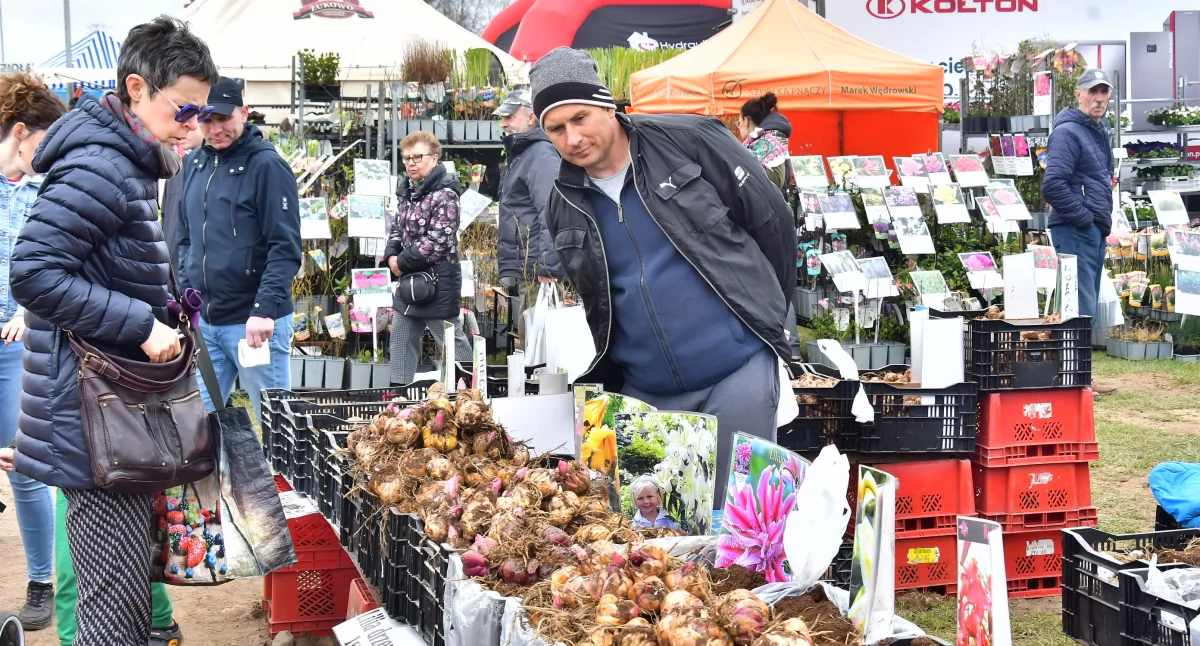 Lubań. Ruszyły Targi Ogrodniczo-Pszczelarskie – święto natury, smaku i pasji
