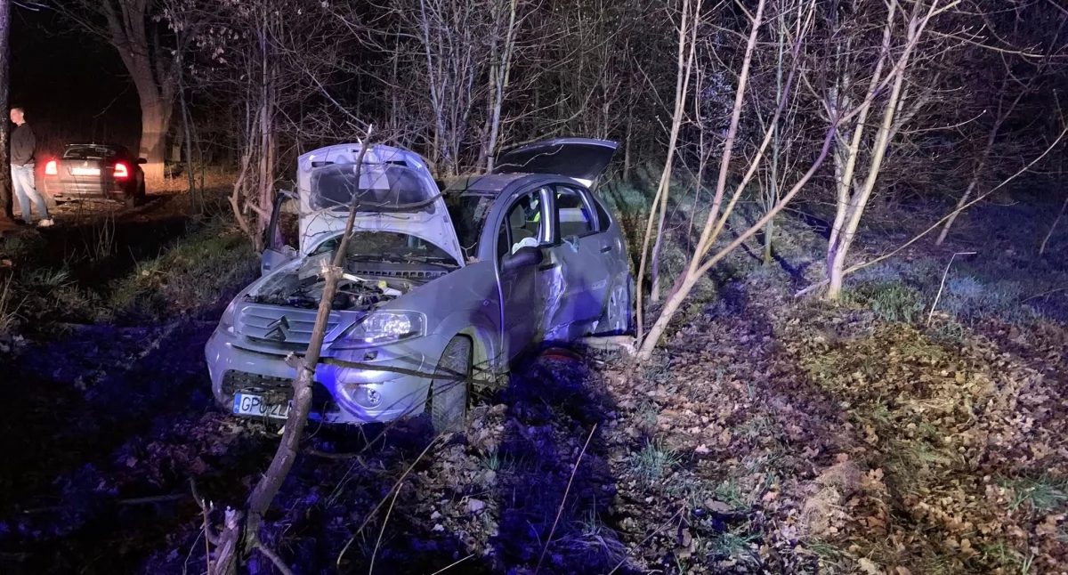  Puzdrowo-Łyśniewo. Citroen z trójką młodych osób uderzył w drzewo