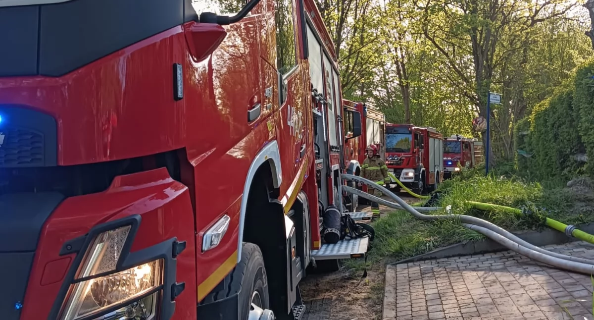 Przewóz - Haska. Płonął domek letniskowy i okoliczny las
