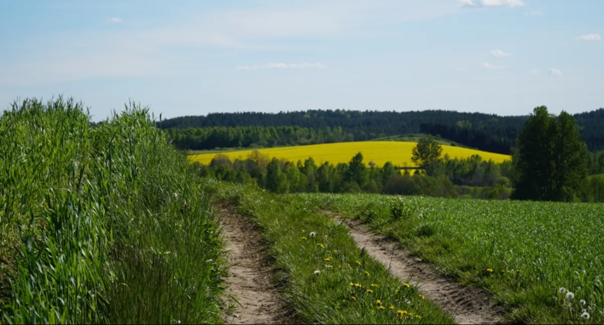 Gmina Przodkowo zaprasza do udziału w konkursie 