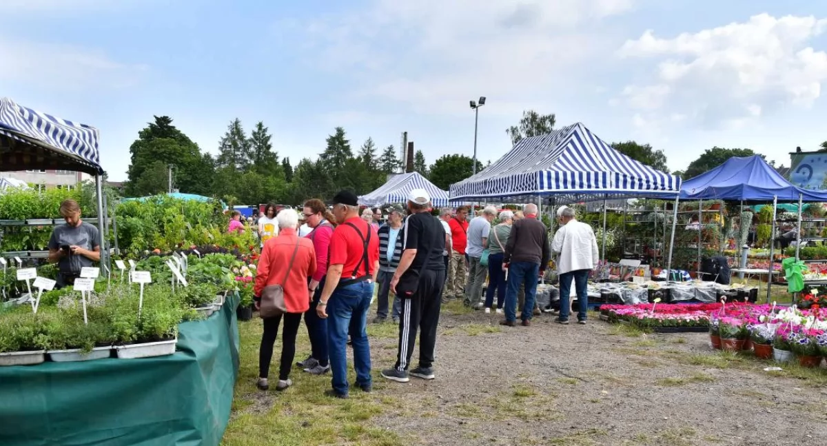 Pomorskie Agro Targi już 7 i 8 czerwca. Lubań zaprasza!