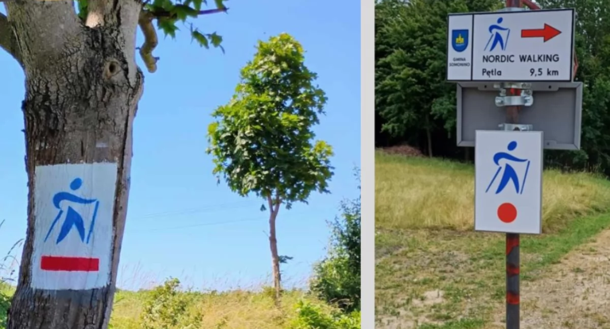 Poznaj nowy szlak nordic walking w gminie Somonino – wspólny spacer już 27 lipca