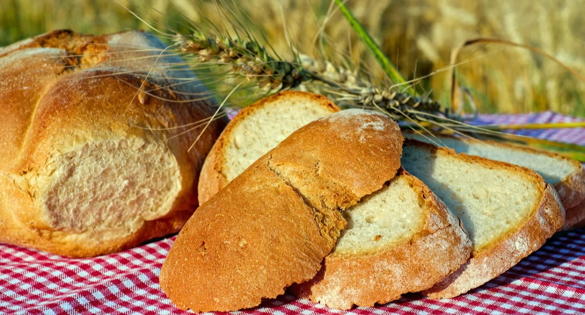 Dożynki Gminno-Parafialne w Miechucinie. Dziękczynienie za plony i wspólna zabawa
