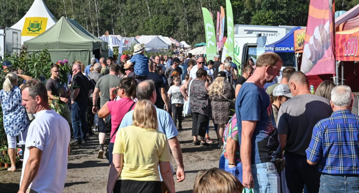 XXVII Kaszubska Jesień Rolnicza w Lubaniu