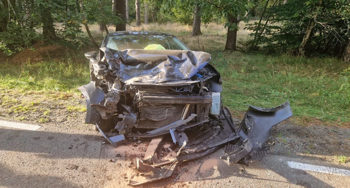 Poważny wypadek w Przewozie.  W akcji LPR