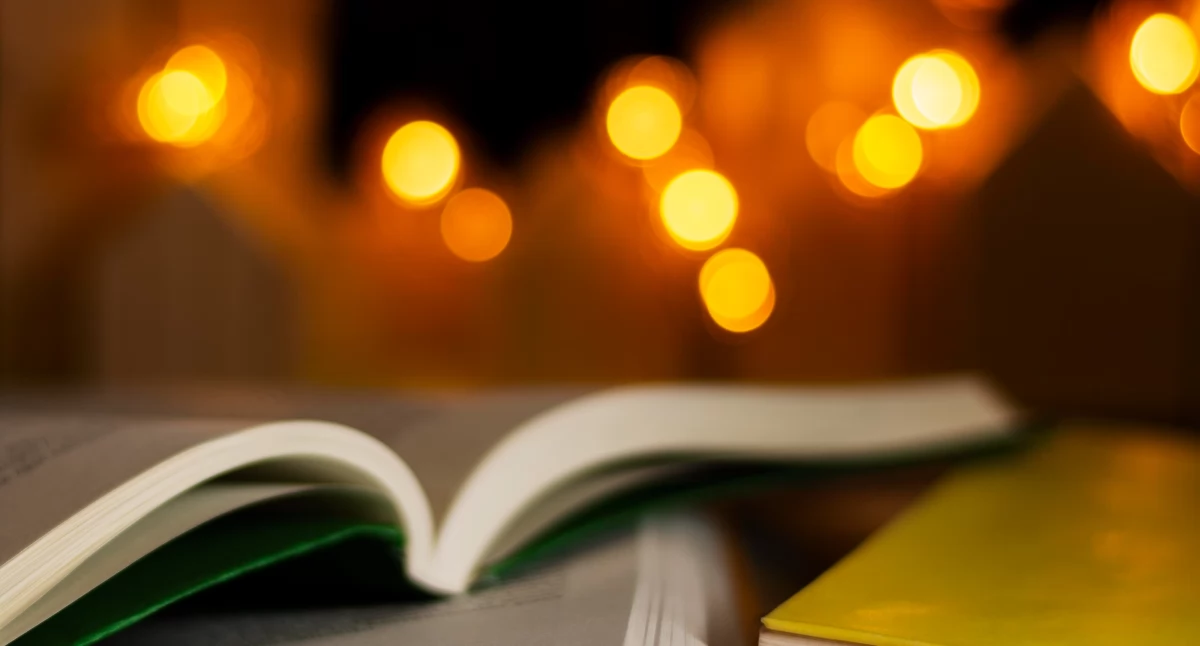 Noc Bibliotek w Somoninie. Iluzja, sztuka i ogień w jednym miejscu