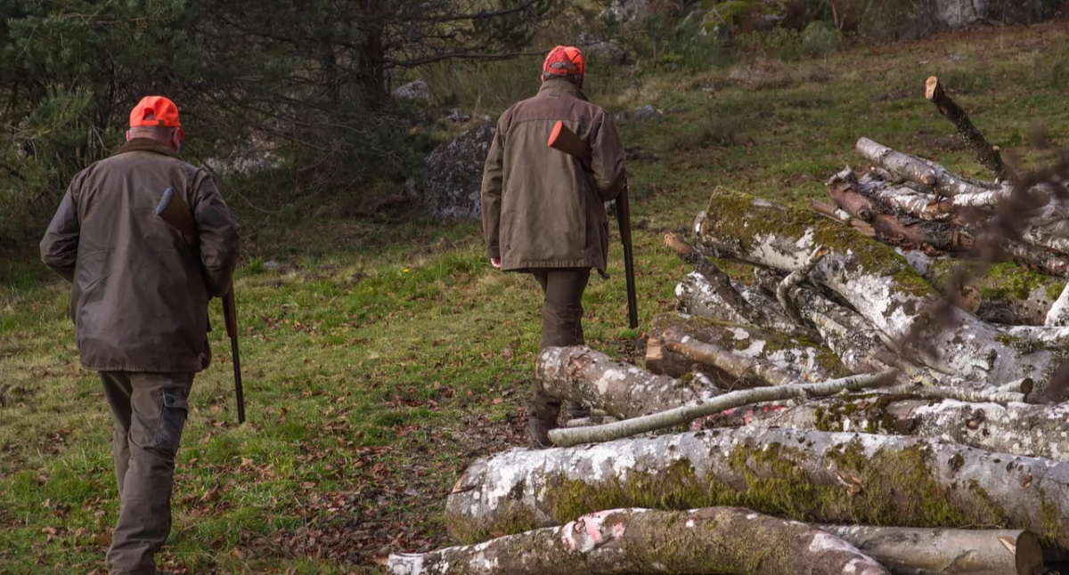 Zakaz polowań zbiorowych w powiecie kartuskim. To efekt rozporządzenia wojewody