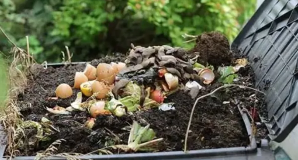 Sierakowice. Urzędnicy sprawdzą, kto rzeczywiście kompostuje bioodpady