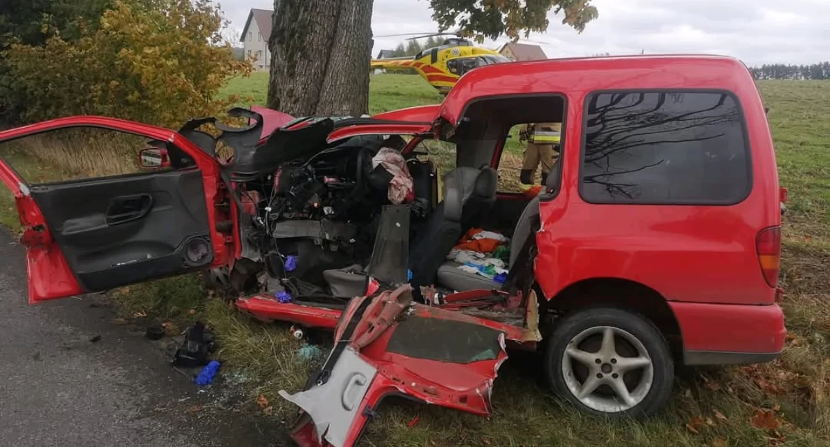 Puzdrowo. Osobówka uderzyła w drzewo - w akcji LRP