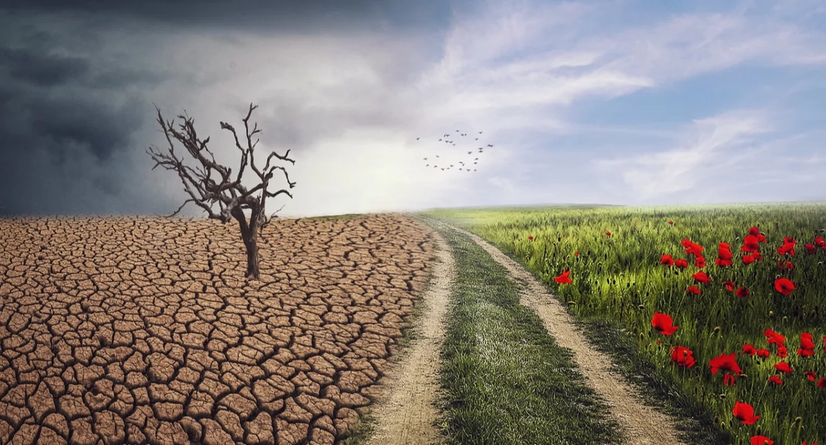 Społeczność dla klimatu - jak działać razem? Fundacja Chlorofeel zaprasza na kolejne spotkanie