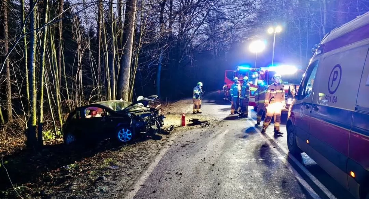 Egiertowo. Uderzył oplem w drzewo. Trafił do szpitala. Nie miał uprawnień 